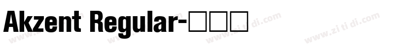 Akzent Regular字体转换